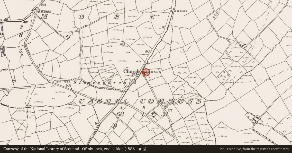 Ordnance Survey six-inch map, 2nd edition (1888–1915) covering the location of Church, Cashel Commons, County Cork, with a pin at the register's coordinates