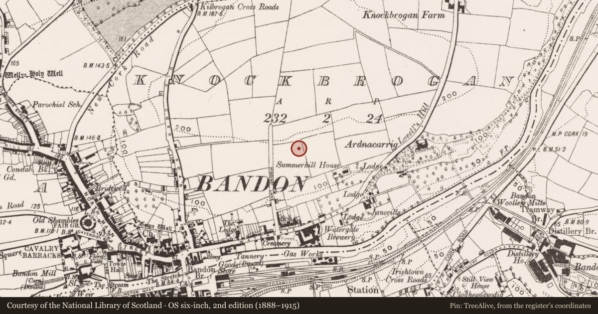 Ordnance Survey six-inch map, 2nd edition (1888–1915) covering the location of Standing stone, Knockbrogan, County Cork, with a pin at the register's coordinates