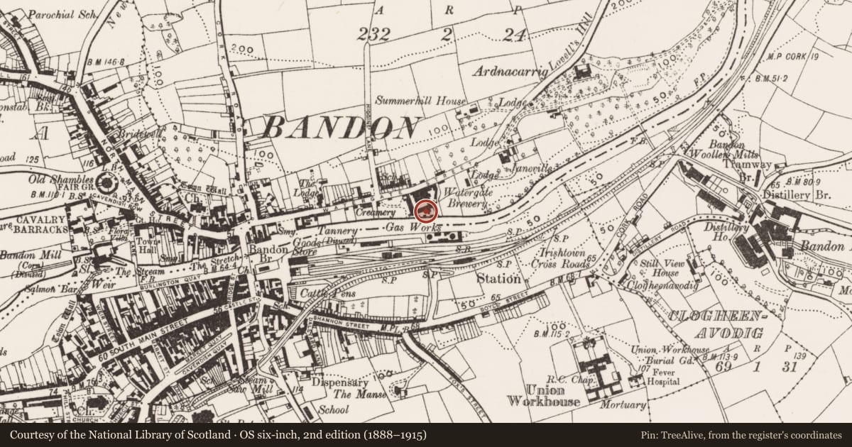 Ordnance Survey six-inch map, 2nd edition (1888–1915) covering the location of Brewery, Knockbrogan, County Cork, with a pin at the register's coordinates