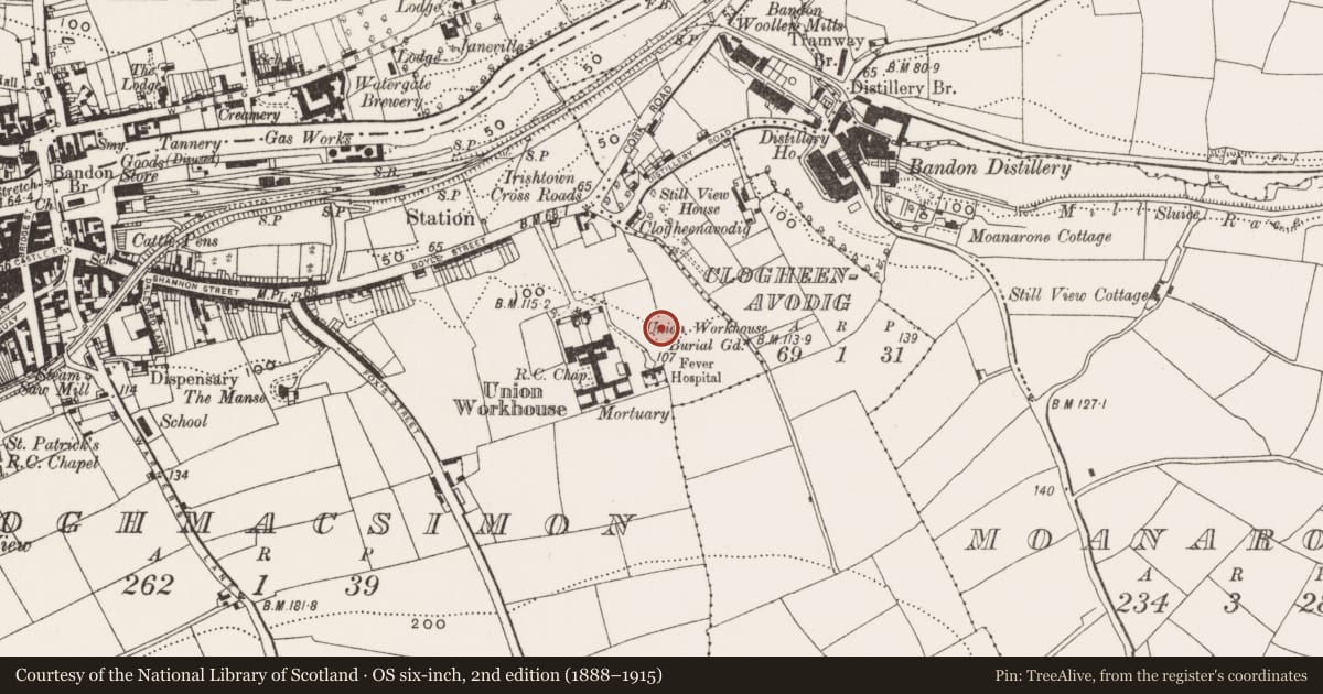 Ordnance Survey six-inch map, 2nd edition (1888–1915) covering the location of Standing stone, Cloghmacsimon, County Cork, with a pin at the register's coordinates