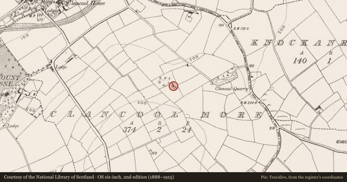 Ordnance Survey six-inch map, 2nd edition (1888–1915) covering the location of Quarry, Clancool More, County Cork, with a pin at the register's coordinates