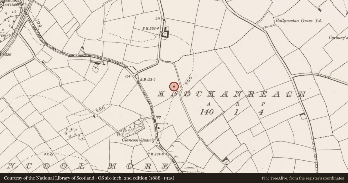 Ordnance Survey six-inch map, 2nd edition (1888–1915) covering the location of Fulacht fia, Knockanreagh, County Cork, with a pin at the register's coordinates