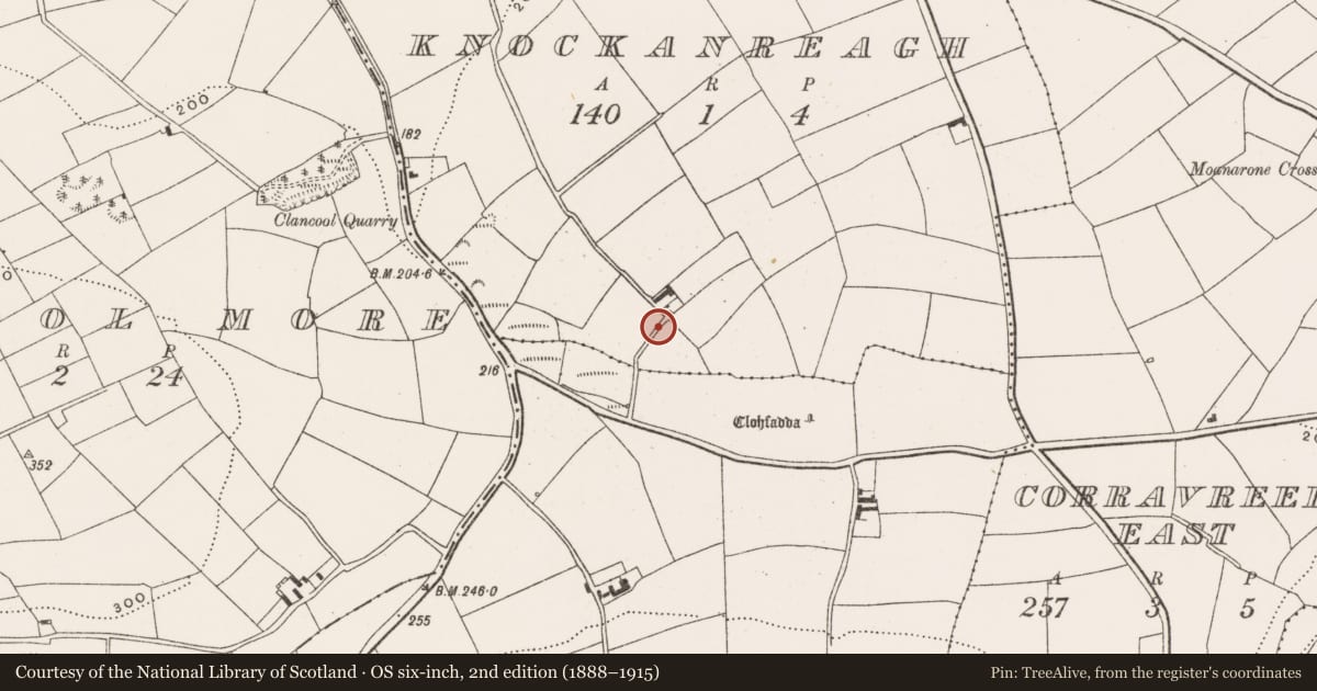 Ordnance Survey six-inch map, 2nd edition (1888–1915) covering the location of Standing stone, Knockanreagh, County Cork, with a pin at the register's coordinates