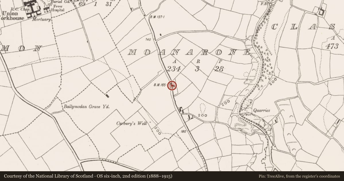 Ordnance Survey six-inch map, 2nd edition (1888–1915) covering the location of Standing stone, Moanarone, County Cork, with a pin at the register's coordinates