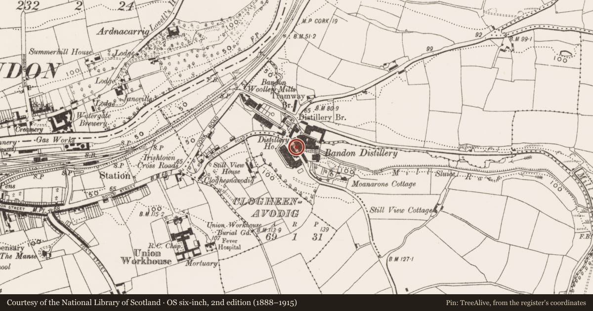 Ordnance Survey six-inch map, 2nd edition (1888–1915) covering the location of Distillery, Moanarone, County Cork, with a pin at the register's coordinates