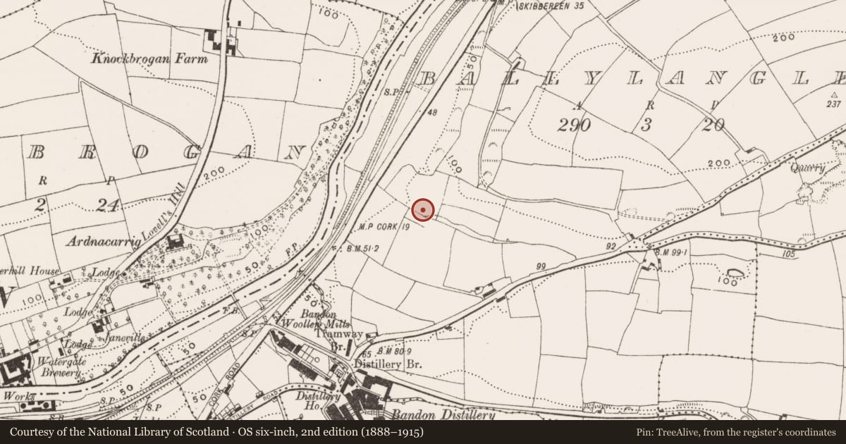 Ordnance Survey six-inch map, 2nd edition (1888–1915) covering the location of Fulacht fia, Ballylangley, County Cork, with a pin at the register's coordinates