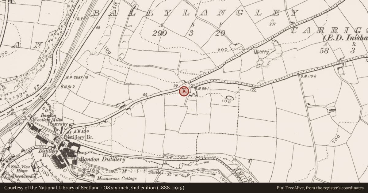 Ordnance Survey six-inch map, 2nd edition (1888–1915) covering the location of Quarry, Ballylangley, County Cork, with a pin at the register's coordinates