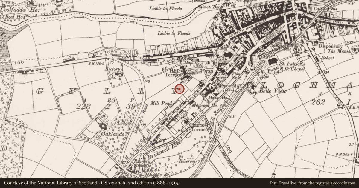 Ordnance Survey six-inch map, 2nd edition (1888–1915) covering the location of Burial ground, Gully, County Cork, with a pin at the register's coordinates