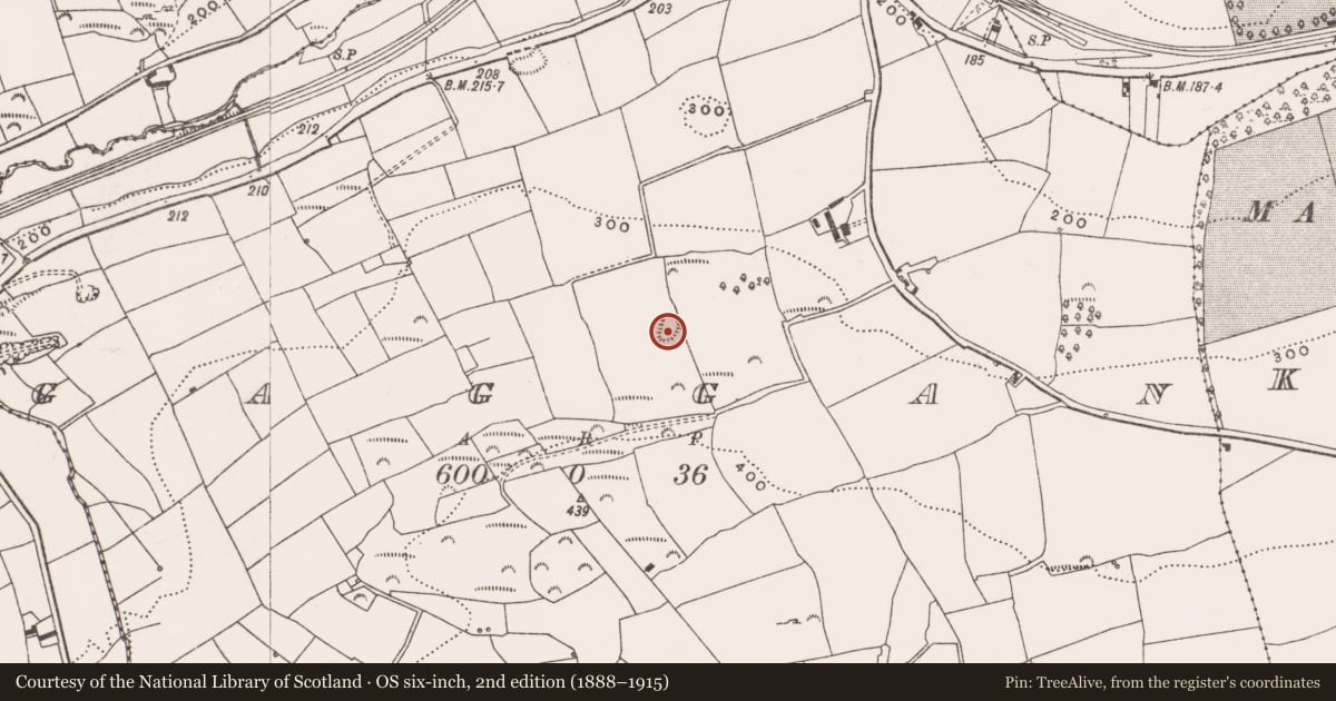 Ordnance Survey six-inch map, 2nd edition (1888–1915) covering the location of Souterrain, Gaggan, County Cork, with a pin at the register's coordinates