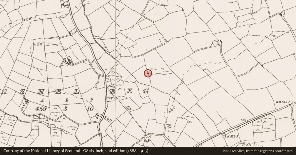 Ordnance Survey six-inch map, 2nd edition (1888–1915) covering the location of Fulacht fia, Gaggan, County Cork, with a pin at the register's coordinates