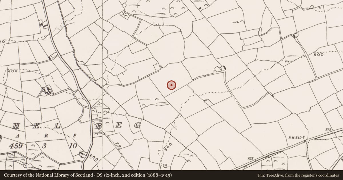 Ordnance Survey six-inch map, 2nd edition (1888–1915) covering the location of Fulacht fia, Gaggan, County Cork, with a pin at the register's coordinates
