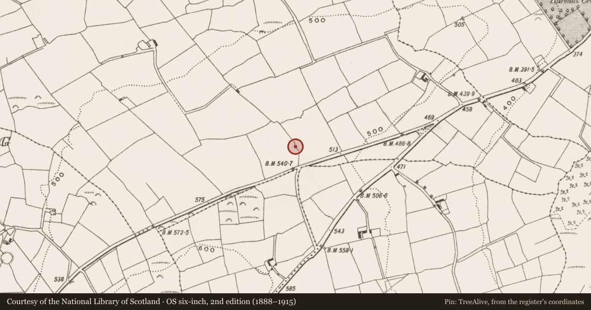 Ordnance Survey six-inch map, 2nd edition (1888–1915) covering the location of Architectural fragment, Gaggan, County Cork, with a pin at the register's coordinates