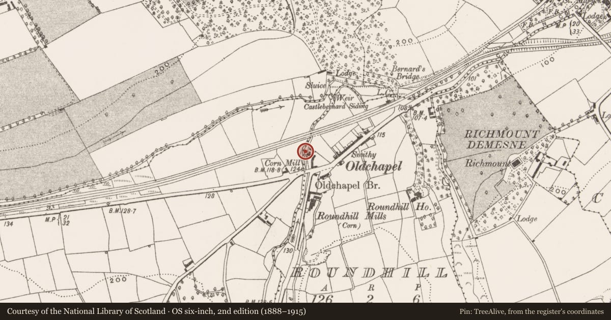 Ordnance Survey six-inch map, 2nd edition (1888–1915) covering the location of Mill - corn, Roundhill, County Cork, with a pin at the register's coordinates