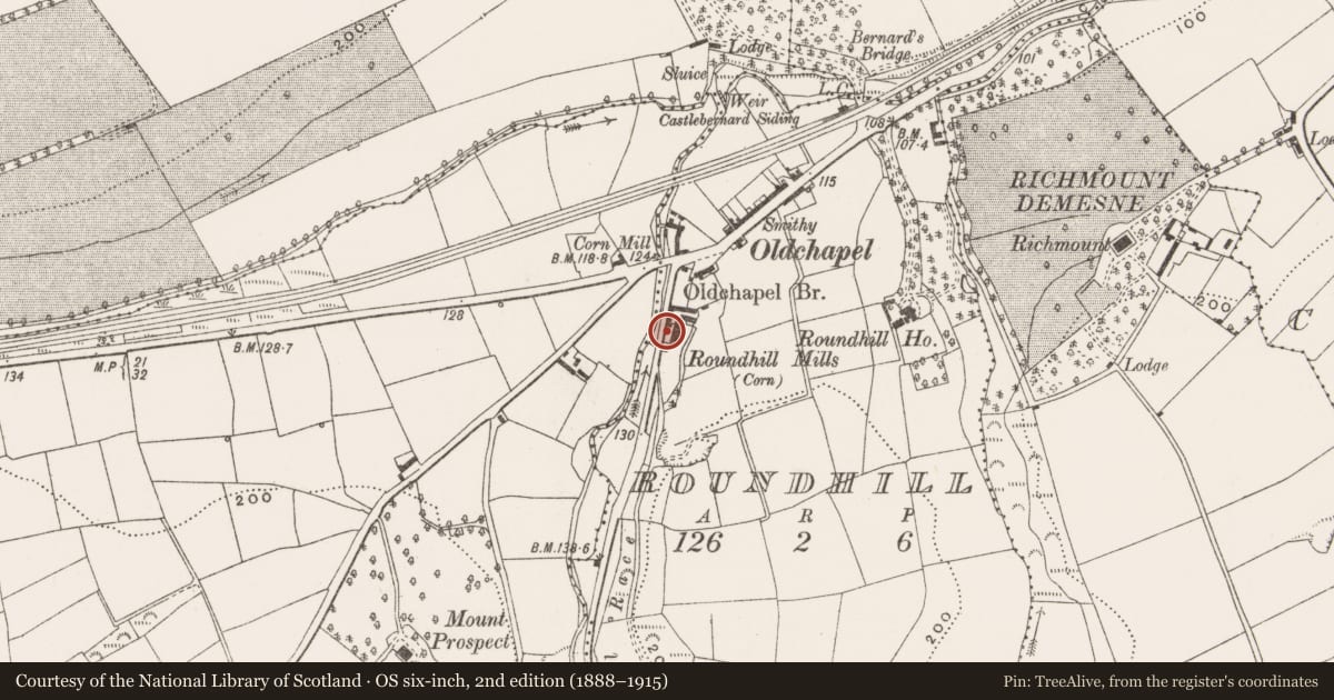 Ordnance Survey six-inch map, 2nd edition (1888–1915) covering the location of Mill - corn, Roundhill, County Cork, with a pin at the register's coordinates