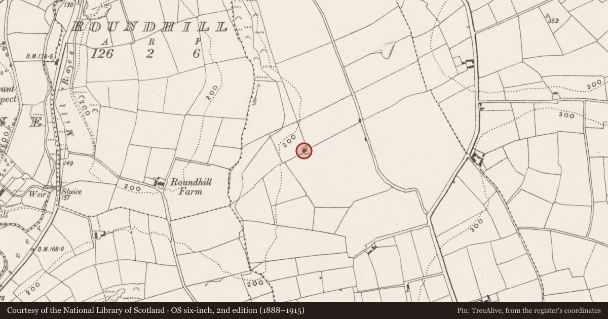 Ordnance Survey six-inch map, 2nd edition (1888–1915) covering the location of Enclosure, Clancool Beg, County Cork, with a pin at the register's coordinates
