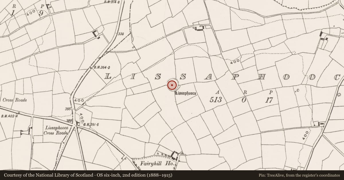 Ordnance Survey six-inch map, 2nd edition (1888–1915) covering the location of Ringfort - rath, Lissaphooca, County Cork, with a pin at the register's coordinates