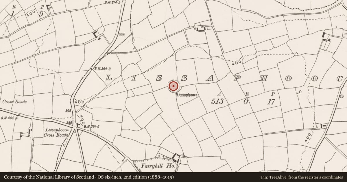 Ordnance Survey six-inch map, 2nd edition (1888–1915) covering the location of Souterrain, Lissaphooca, County Cork, with a pin at the register's coordinates