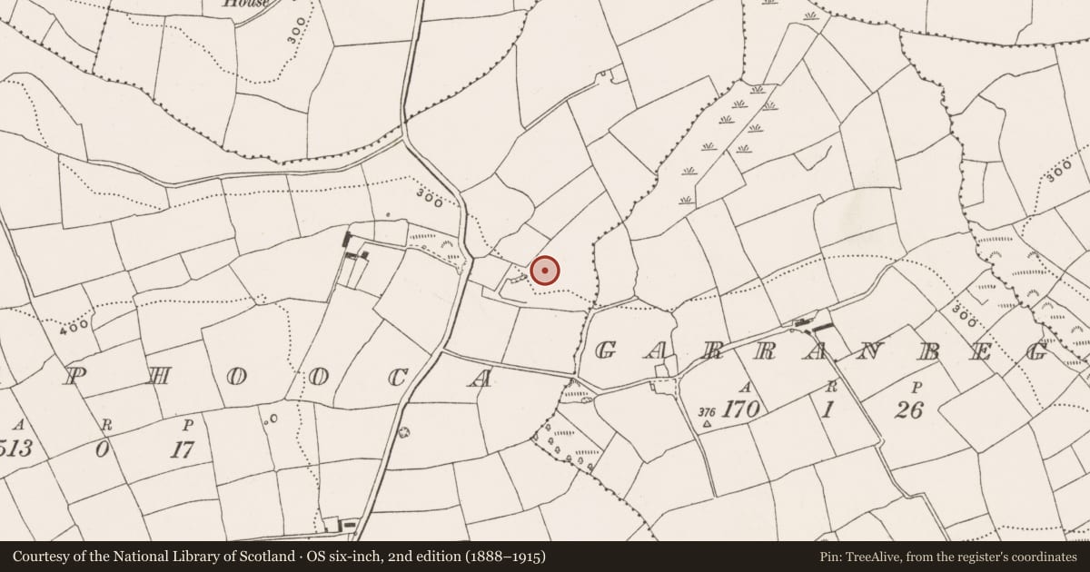 Ordnance Survey six-inch map, 2nd edition (1888–1915) covering the location of Fulacht fia, Lissaphooca, County Cork, with a pin at the register's coordinates