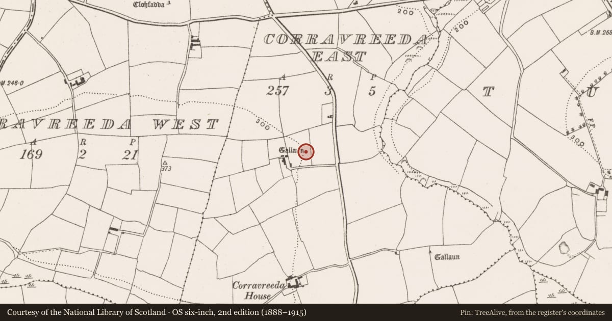 Ordnance Survey six-inch map, 2nd edition (1888–1915) covering the location of Mass-rock, Corravreeda East, County Cork, with a pin at the register's coordinates