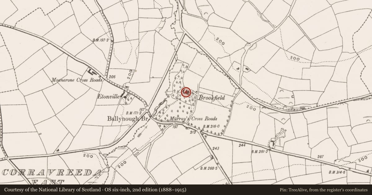 Ordnance Survey six-inch map, 2nd edition (1888–1915) covering the location of Country house, Tullyland, County Cork, with a pin at the register's coordinates