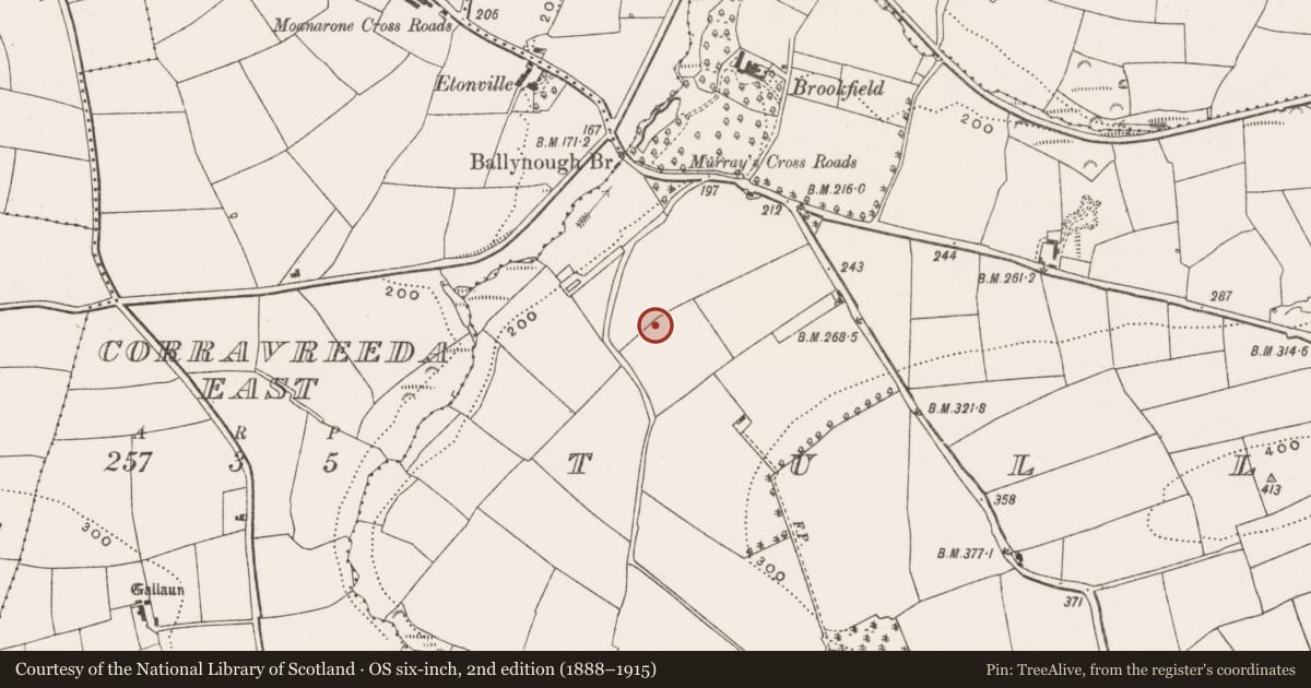 Ordnance Survey six-inch map, 2nd edition (1888–1915) covering the location of Ringfort - rath, Tullyland, County Cork, with a pin at the register's coordinates