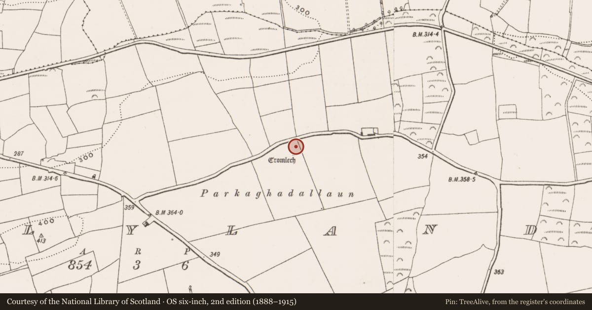 Ordnance Survey six-inch map, 2nd edition (1888–1915) covering the location of Standing stone, Tullyland, County Cork, with a pin at the register's coordinates