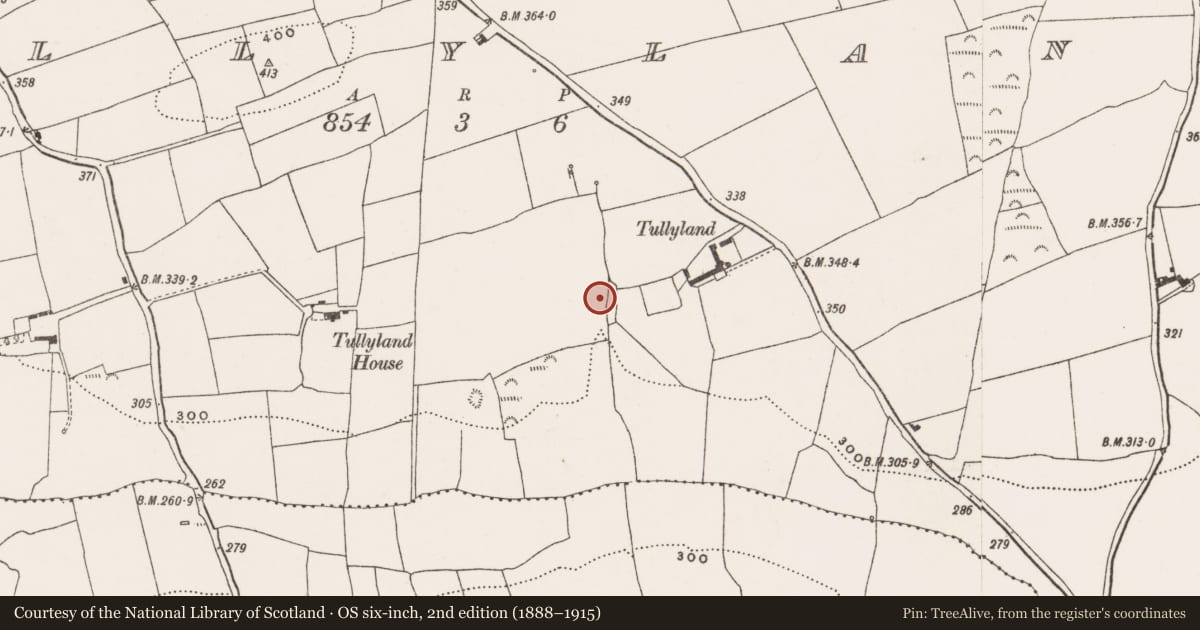 Ordnance Survey six-inch map, 2nd edition (1888–1915) covering the location of Fulacht fia, Tullyland, County Cork, with a pin at the register's coordinates