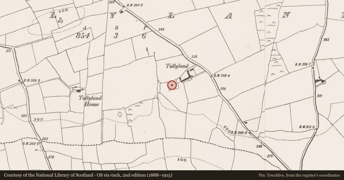 Ordnance Survey six-inch map, 2nd edition (1888–1915) covering the location of Moated site, Tullyland, County Cork, with a pin at the register's coordinates