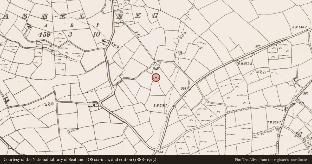Ordnance Survey six-inch map, 2nd edition (1888–1915) covering the location of Ringfort - rath, Cashel Beg, County Cork, with a pin at the register's coordinates