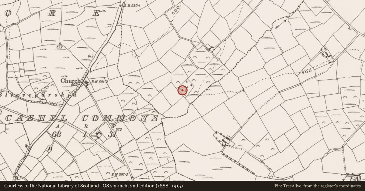 Ordnance Survey six-inch map, 2nd edition (1888–1915) covering the location of Standing stone, Moneens, County Cork, with a pin at the register's coordinates