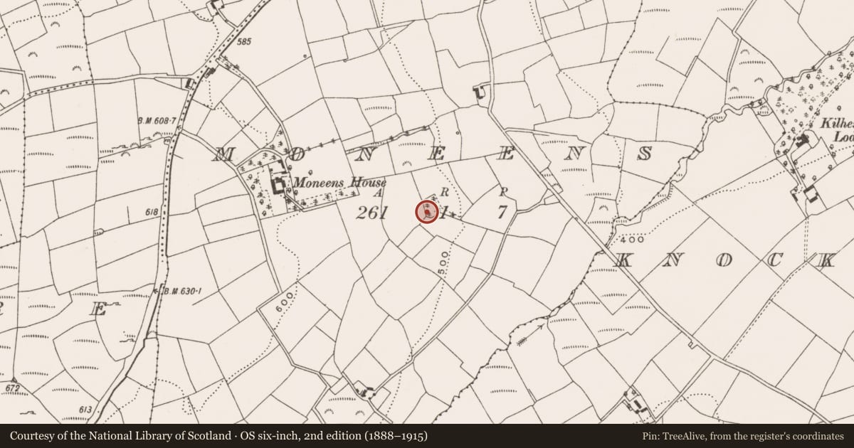 Ordnance Survey six-inch map, 2nd edition (1888–1915) covering the location of Ringfort - rath, Moneens, County Cork, with a pin at the register's coordinates