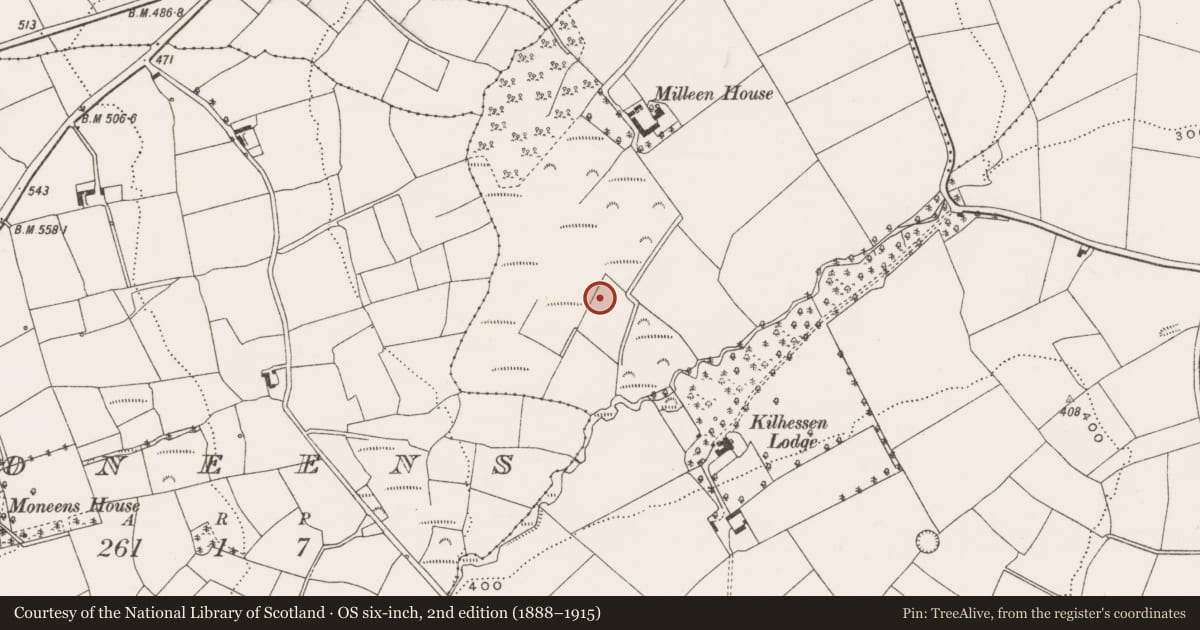 Ordnance Survey six-inch map, 2nd edition (1888–1915) covering the location of Fulacht fia, Knocknagallagh, County Cork, with a pin at the register's coordinates
