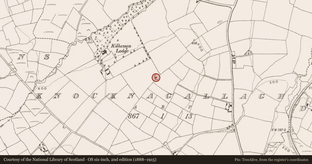 Ordnance Survey six-inch map, 2nd edition (1888–1915) covering the location of Ringfort - rath, Knocknagallagh, County Cork, with a pin at the register's coordinates