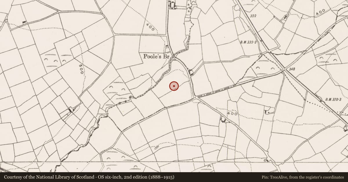 Ordnance Survey six-inch map, 2nd edition (1888–1915) covering the location of Moated site, Dangan More, County Cork, with a pin at the register's coordinates