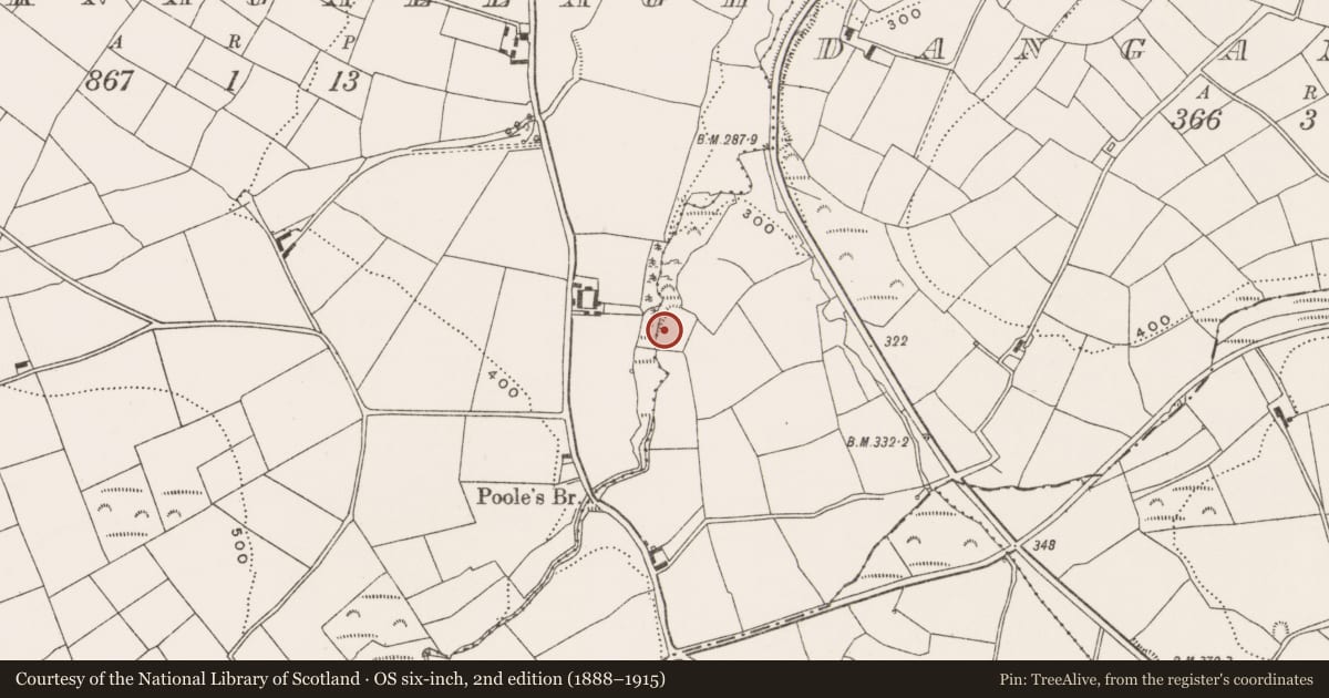 Ordnance Survey six-inch map, 2nd edition (1888–1915) covering the location of Moated site, Dangan More, County Cork, with a pin at the register's coordinates