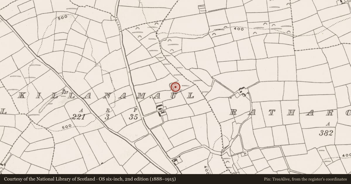 Ordnance Survey six-inch map, 2nd edition (1888–1915) covering the location of Moated site, Killanamaul, County Cork, with a pin at the register's coordinates