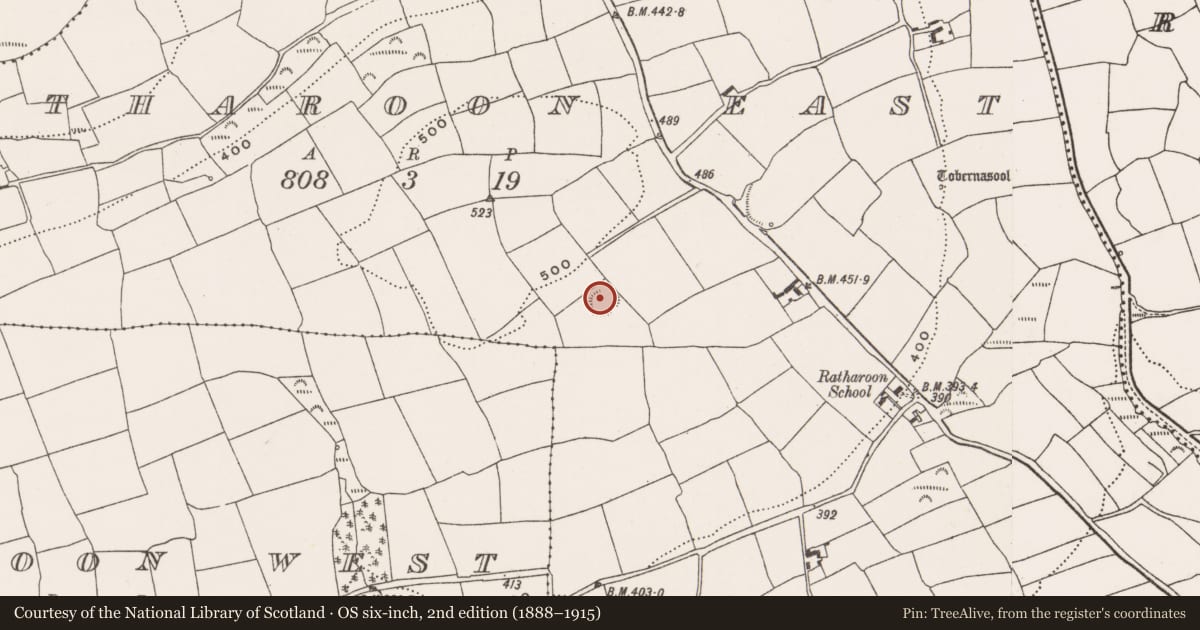 Ordnance Survey six-inch map, 2nd edition (1888–1915) covering the location of Ringfort - rath, Ratharoon East, County Cork, with a pin at the register's coordinates