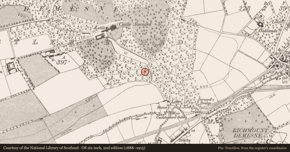 Ordnance Survey six-inch map, 2nd edition (1888–1915) covering the location of Fulacht fia, Castlebernard, County Cork, with a pin at the register's coordinates