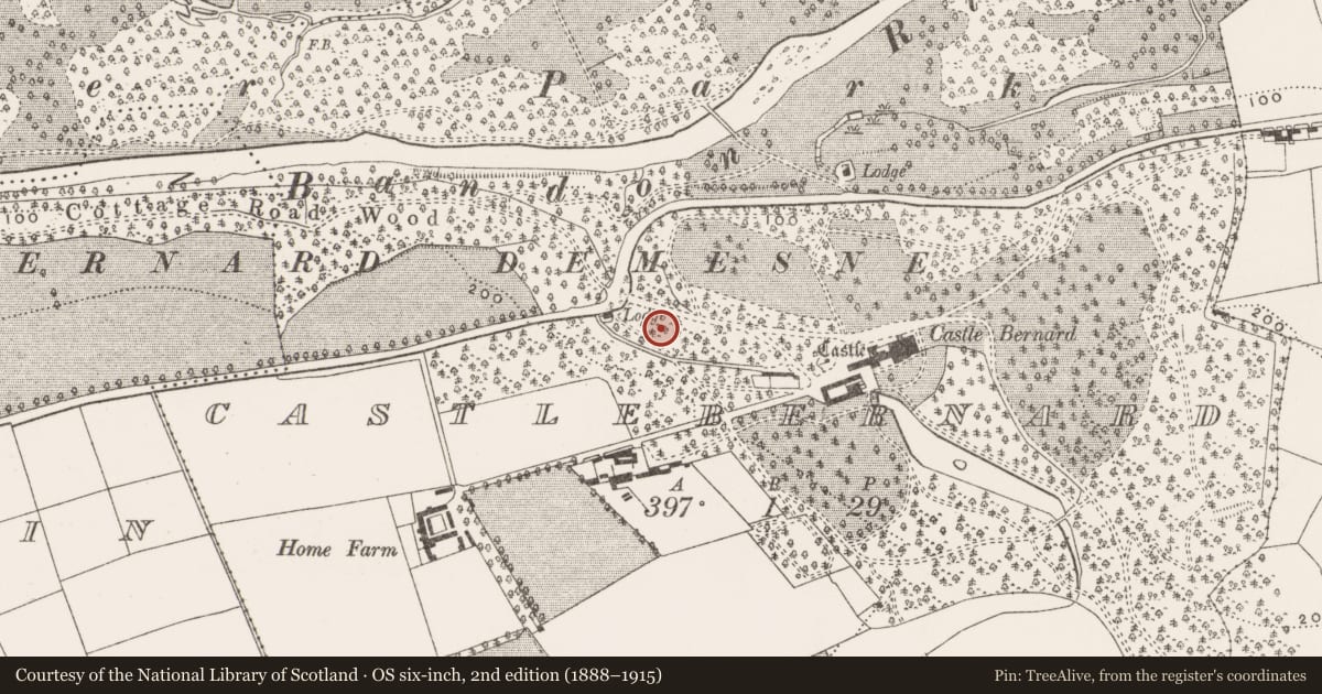 Ordnance Survey six-inch map, 2nd edition (1888–1915) covering the location of Icehouse, Castlebernard, County Cork, with a pin at the register's coordinates
