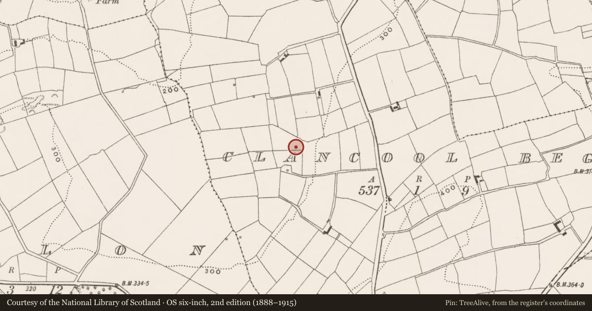 Ordnance Survey six-inch map, 2nd edition (1888–1915) covering the location of Fulacht fia, Clancool Beg, County Cork, with a pin at the register's coordinates