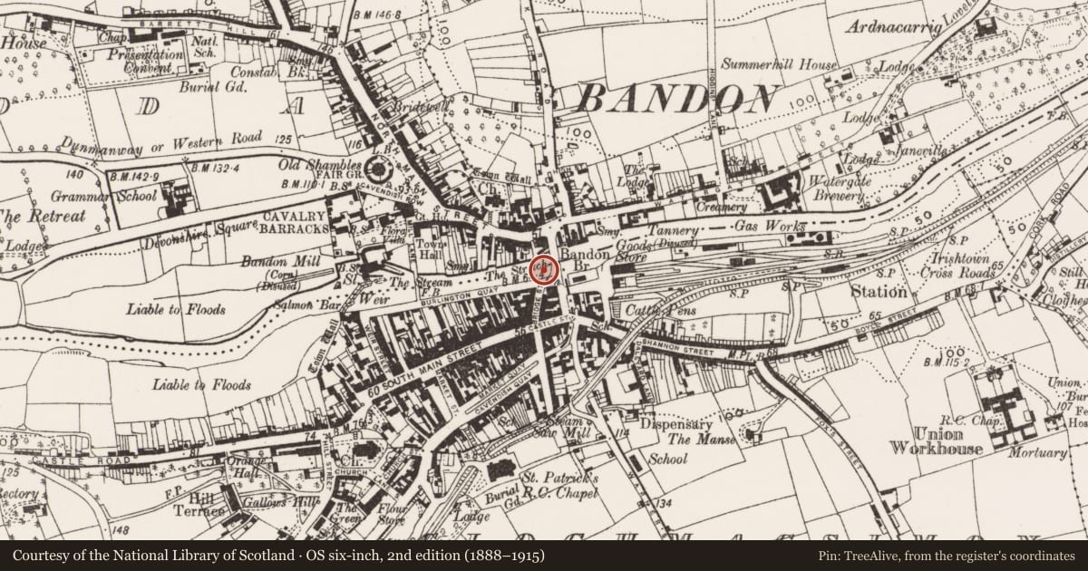 Ordnance Survey six-inch map, 2nd edition (1888–1915) covering the location of Bridge, Coolfadda, Gully, County Cork, with a pin at the register's coordinates