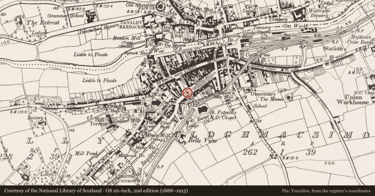 Ordnance Survey six-inch map, 2nd edition (1888–1915) covering the location of Bridge, Gully, County Cork, with a pin at the register's coordinates