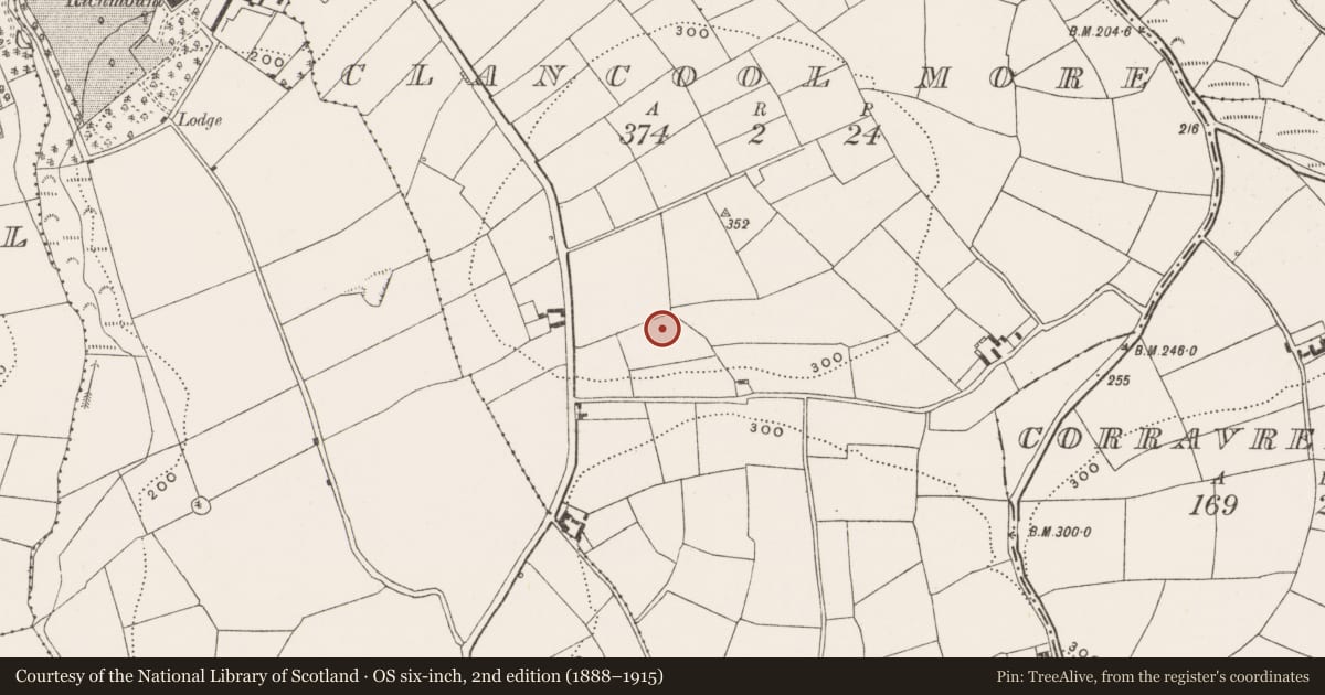 Ordnance Survey six-inch map, 2nd edition (1888–1915) covering the location of Souterrain, Clancool More, County Cork, with a pin at the register's coordinates