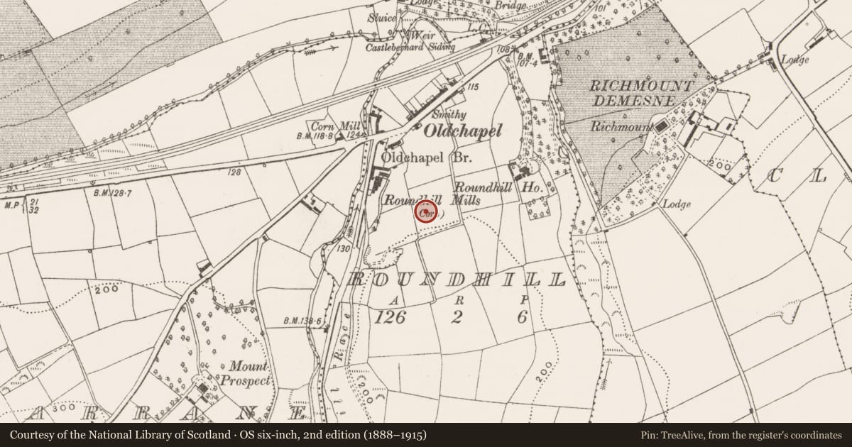Ordnance Survey six-inch map, 2nd edition (1888–1915) covering the location of Souterrain, Roundhill, County Cork, with a pin at the register's coordinates