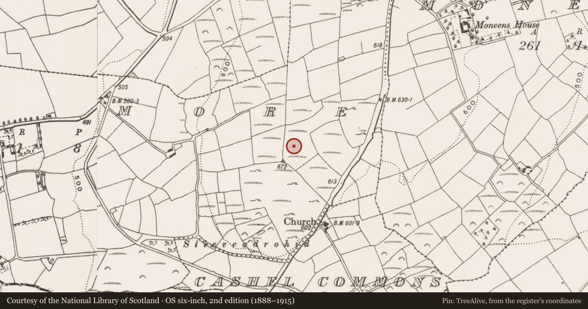 Ordnance Survey six-inch map, 2nd edition (1888–1915) covering the location of Enclosure, Cashel More, County Cork, with a pin at the register's coordinates