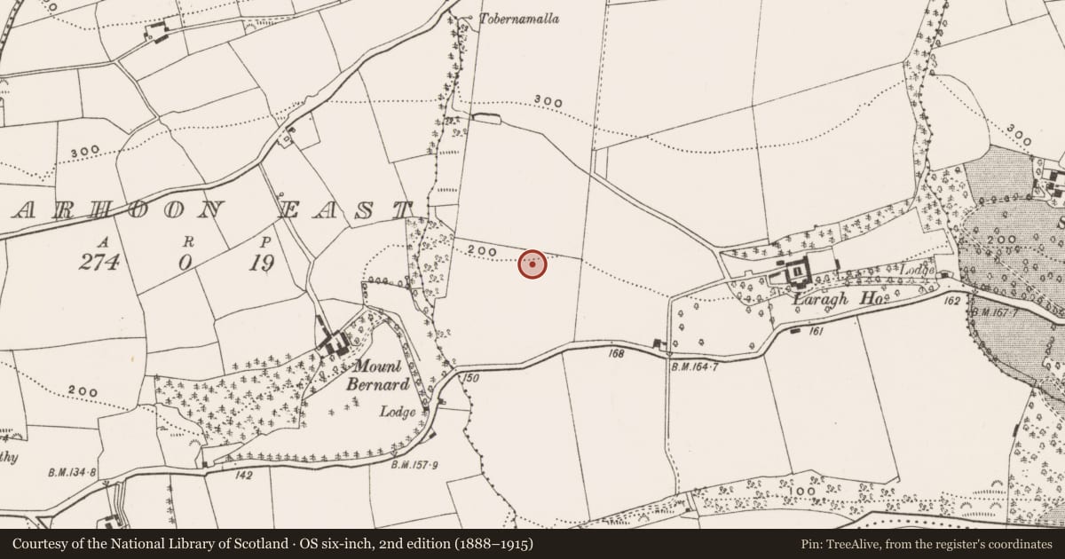 Ordnance Survey six-inch map, 2nd edition (1888–1915) covering the location of Fulacht fia, Laragh, County Cork, with a pin at the register's coordinates
