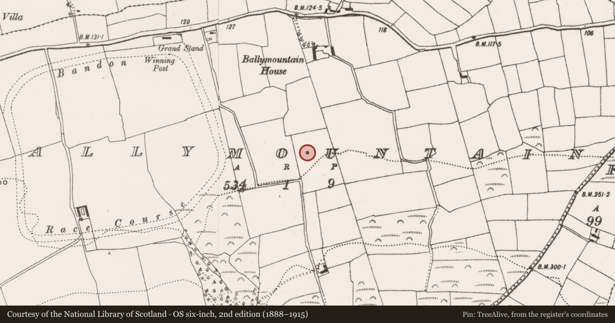 Ordnance Survey six-inch map, 2nd edition (1888–1915) covering the location of Standing stone, Ballymountain, County Cork, with a pin at the register's coordinates