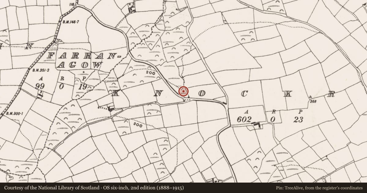 Ordnance Survey six-inch map, 2nd edition (1888–1915) covering the location of Fulacht fia, Knockroe, County Cork, with a pin at the register's coordinates