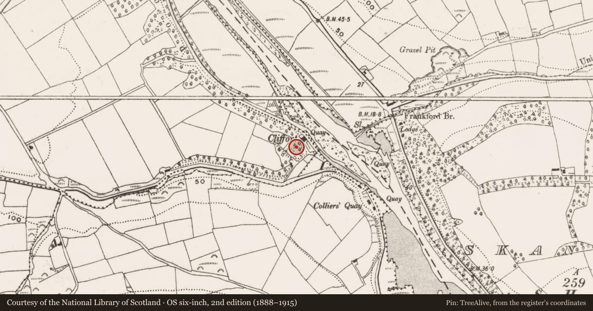 Ordnance Survey six-inch map, 2nd edition (1888–1915) covering the location of Cliff-edge fort, Dromkeen, County Cork, with a pin at the register's coordinates