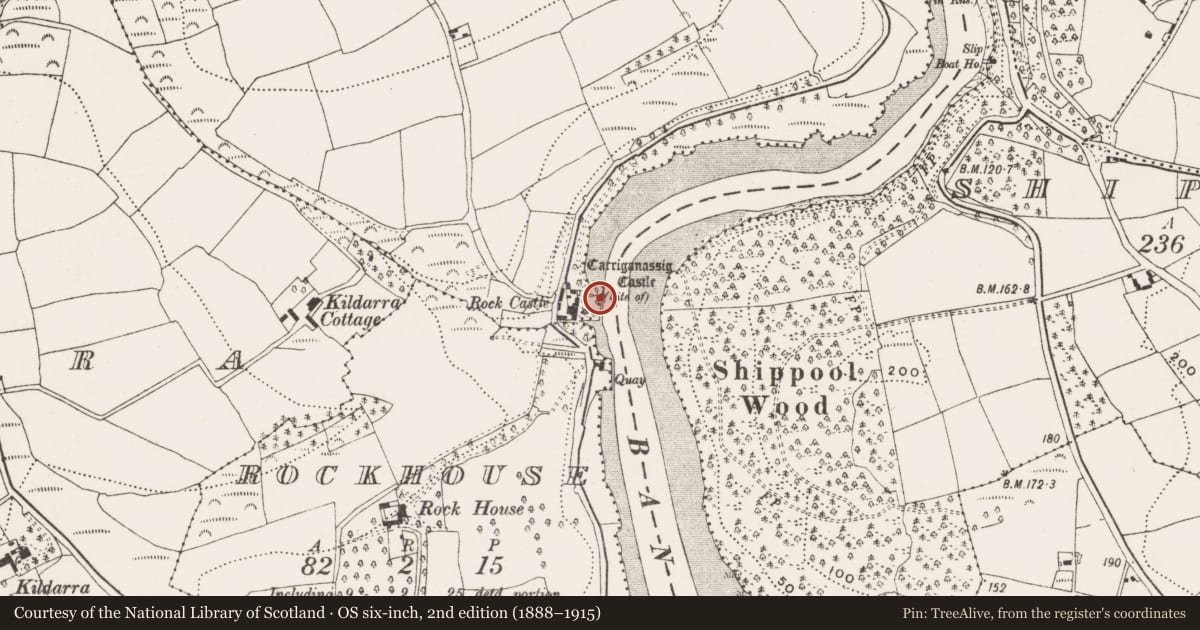 Ordnance Survey six-inch map, 2nd edition (1888–1915) covering the location of Castle - unclassified, Knockroe, County Cork, with a pin at the register's coordinates